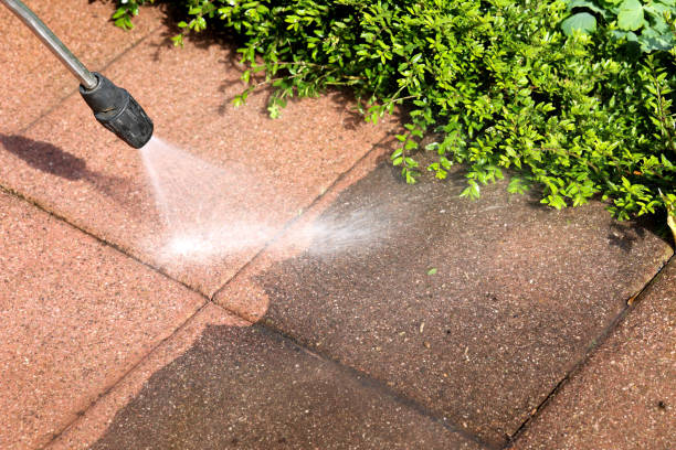 Best Pressure Washing Company Near Me  in Lamoni, IA